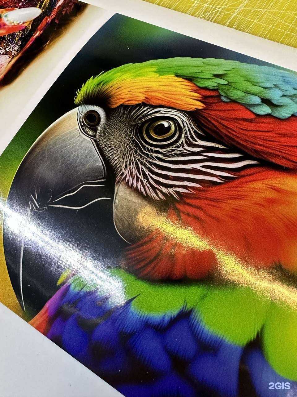 Отзывы на компанию StepPrint в Люберцах c фото