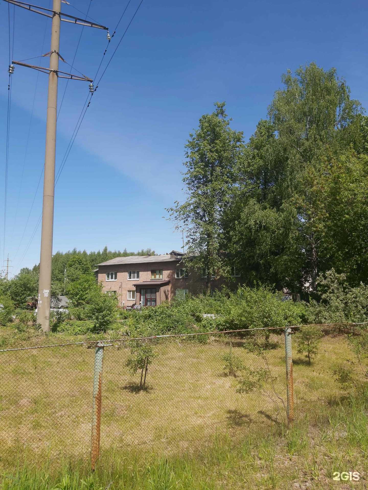 Отзывы на компанию Магазин комнатных растений в Ярославле c фото - фотография 2 из 2