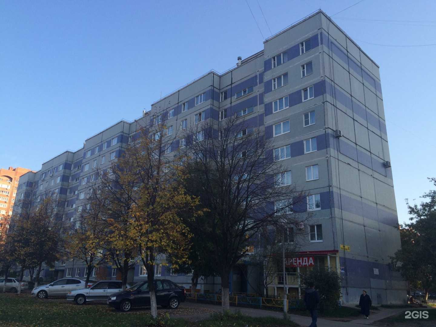 Отзывы на компанию Сакура в Тольятти c фото - фотография 2 из 2