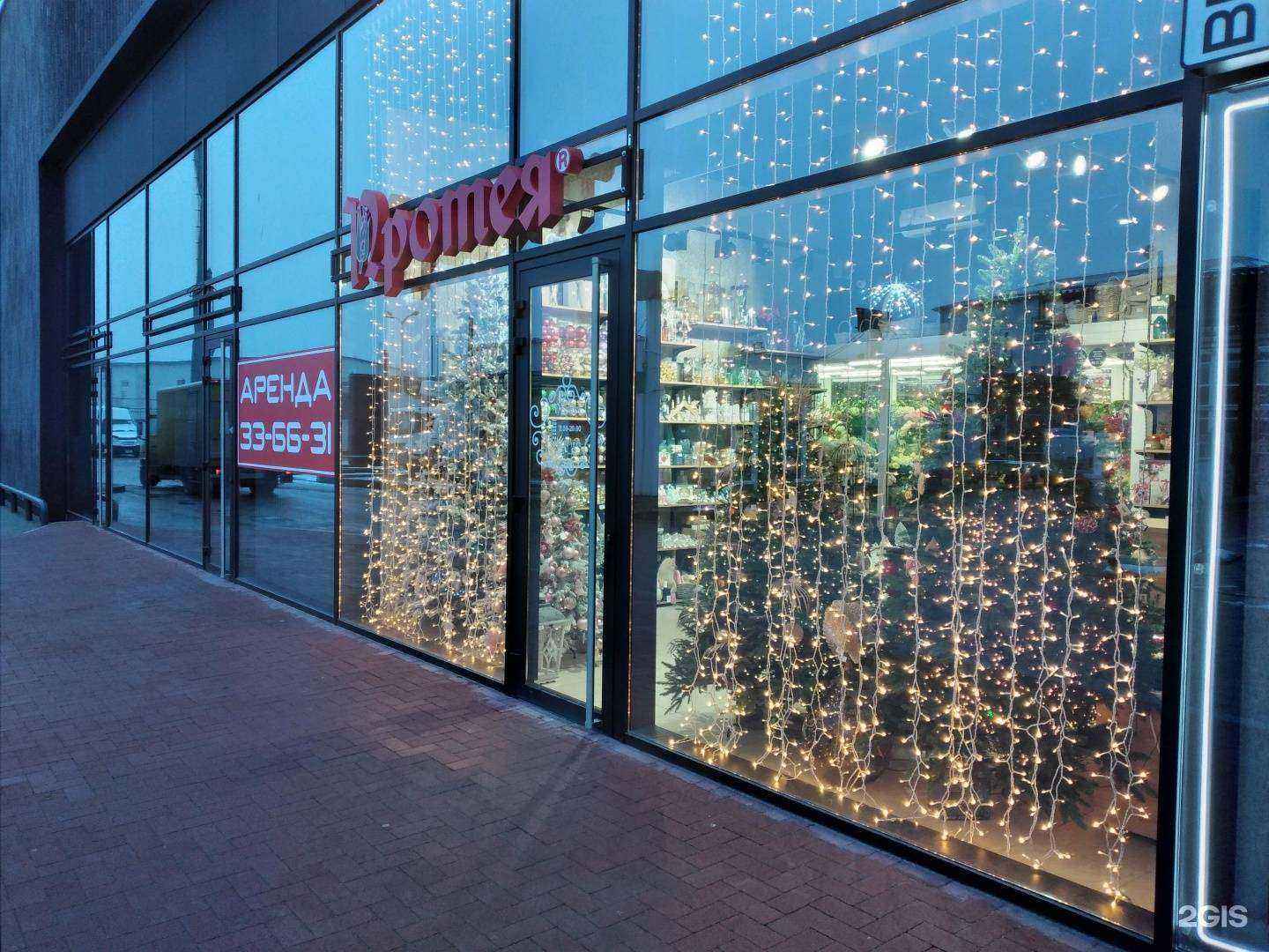 Отзывы на компанию Протея в Калининграде c фото