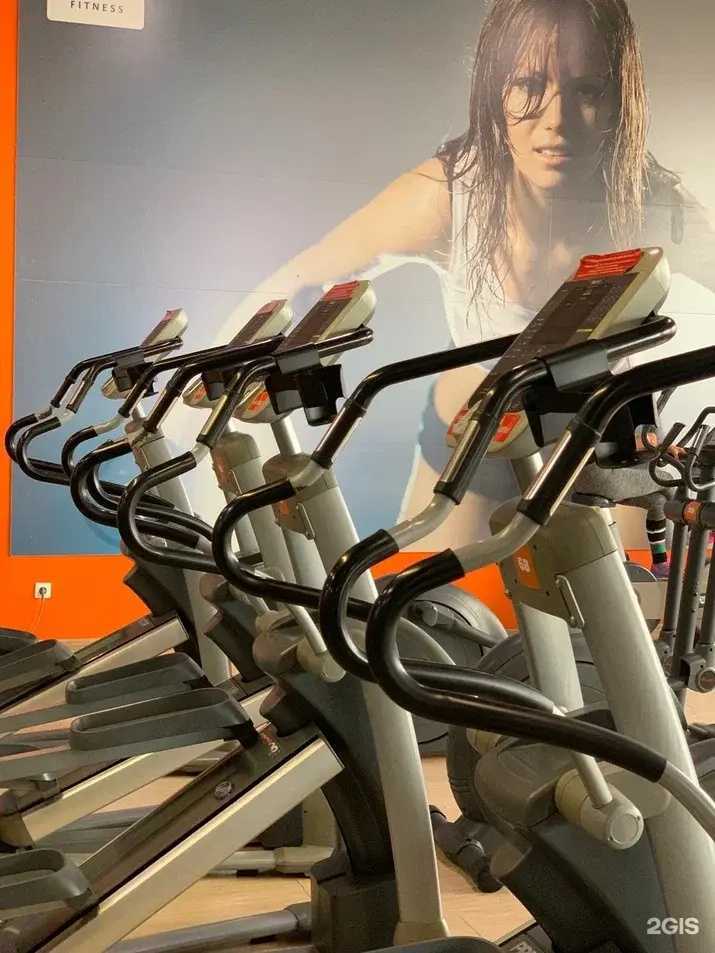 Отзывы на компанию Alex Fitness в г. Череповец c фото