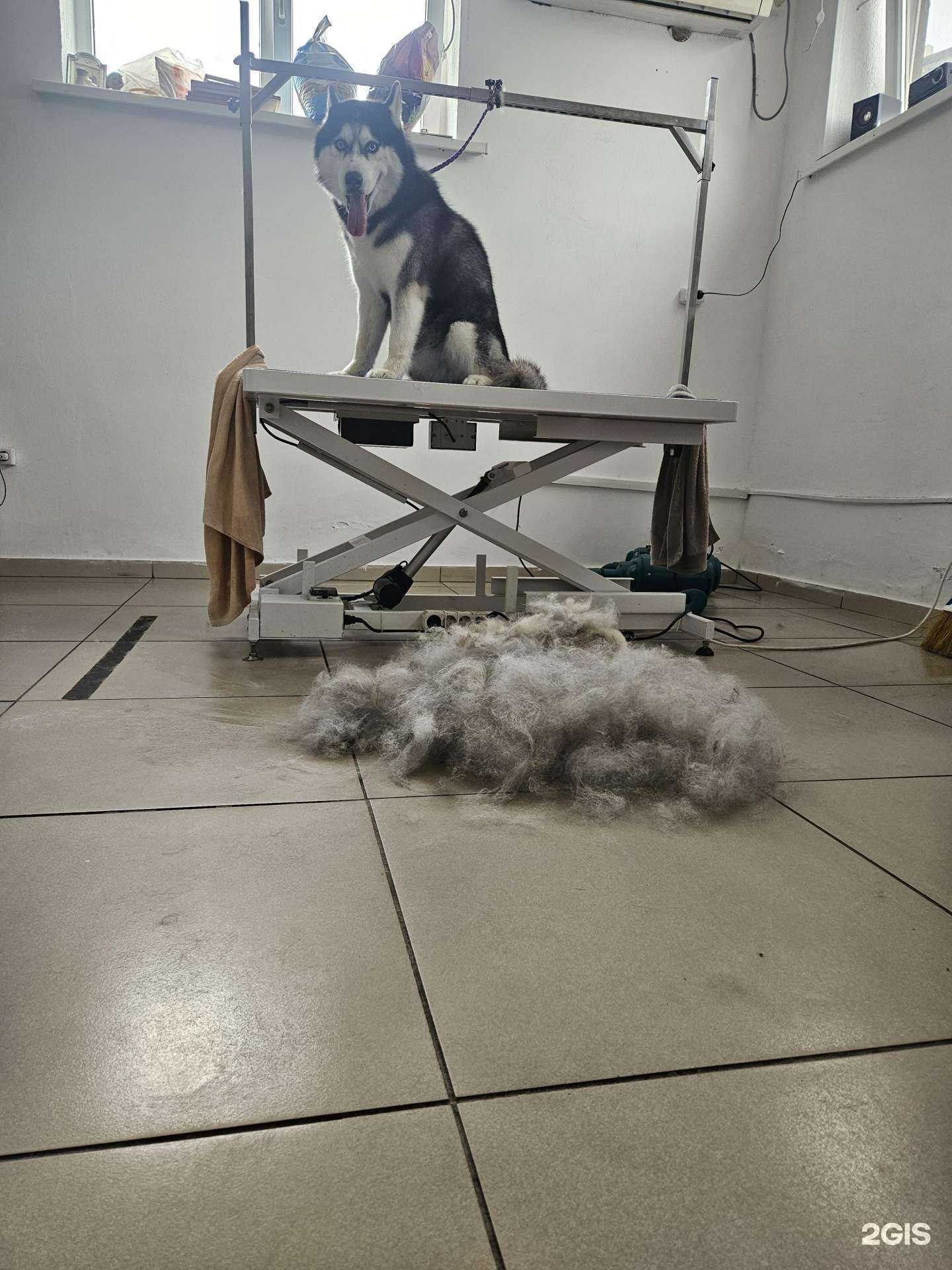 Отзывы на компанию Best в Геленджике c фото