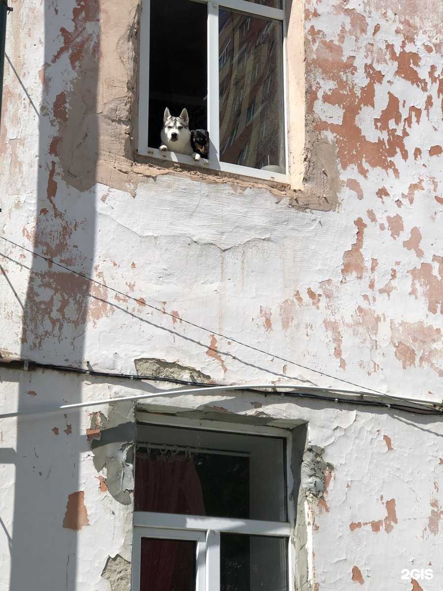 Отзывы на компанию Катюша в Тюмени c фото - фотография 2 из 2