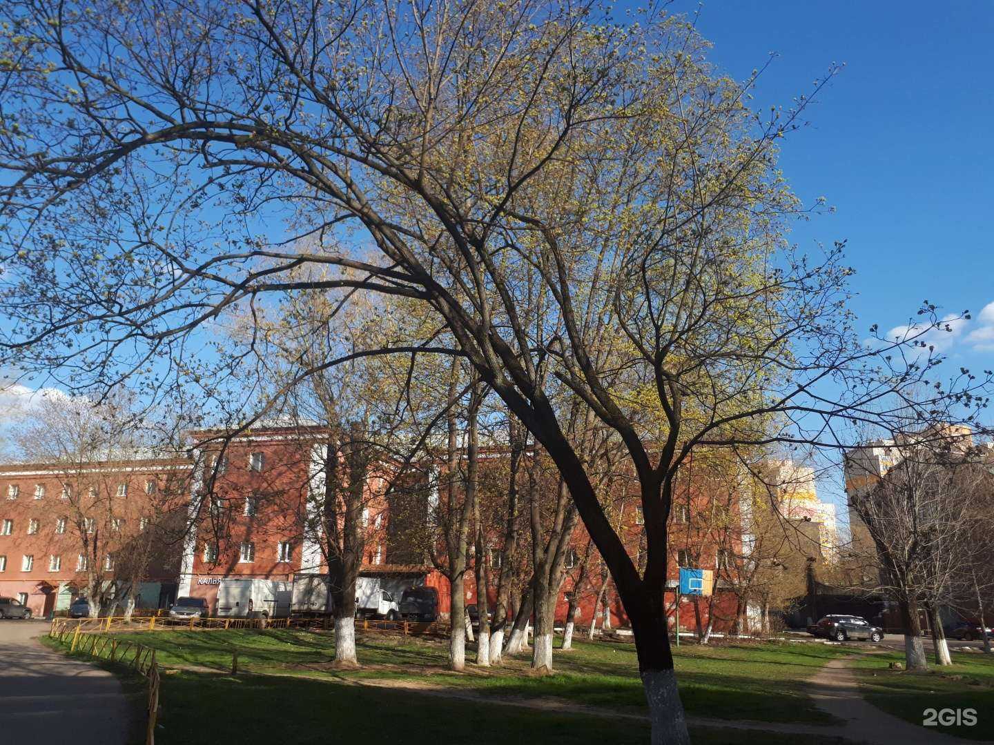 Отзывы на компанию Строй вест в г. Реутов c фото