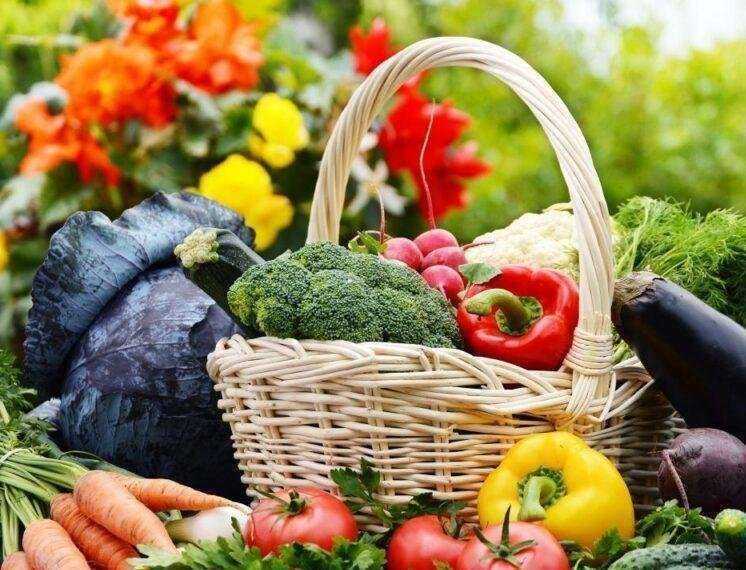 Отзывы на компанию Садовод в г. Воронеж c фото