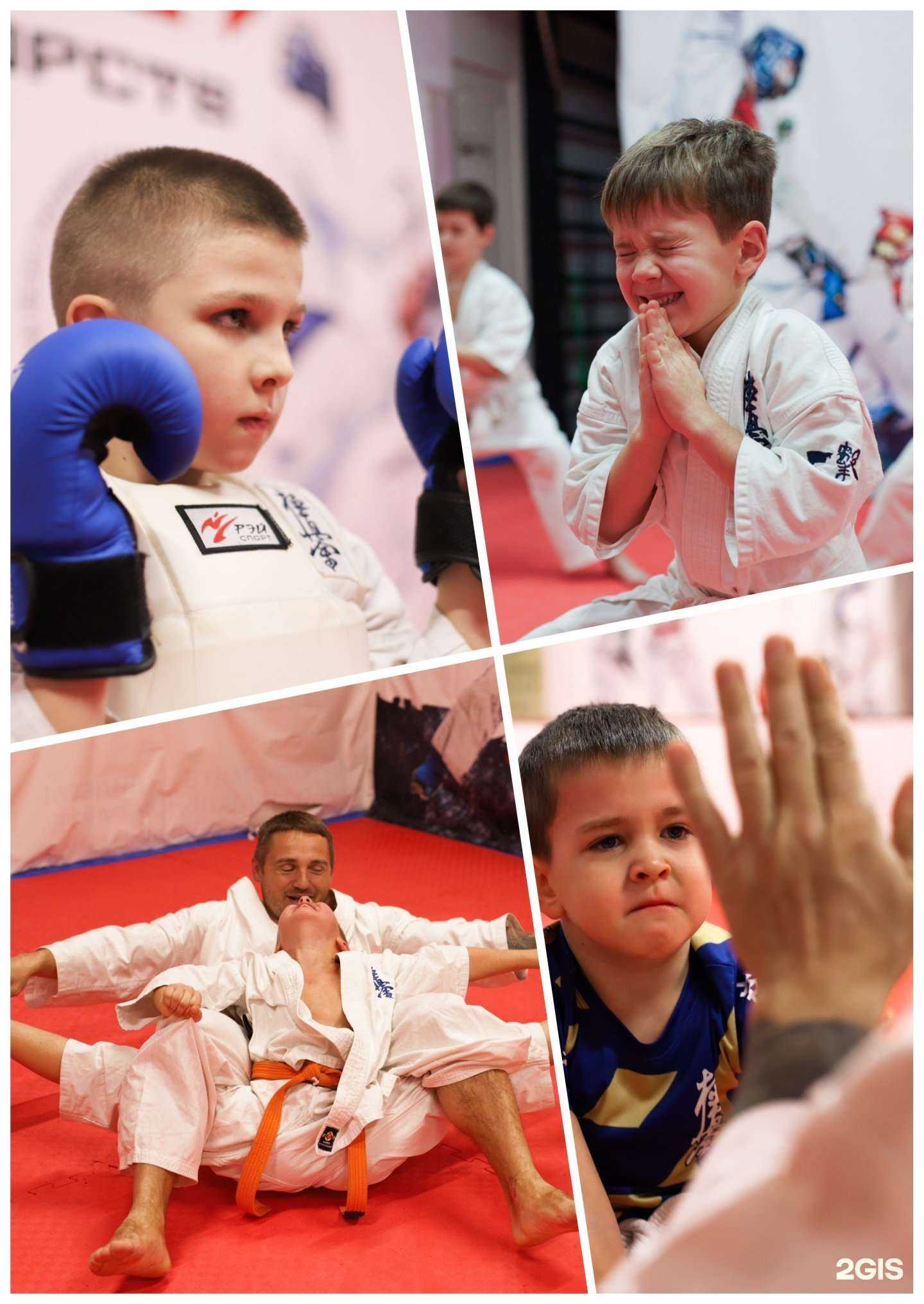 Отзывы на компанию Киокушинкай в Сочи c фото