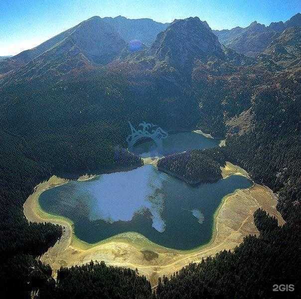 Отзывы на компанию New line в Уфе c фото