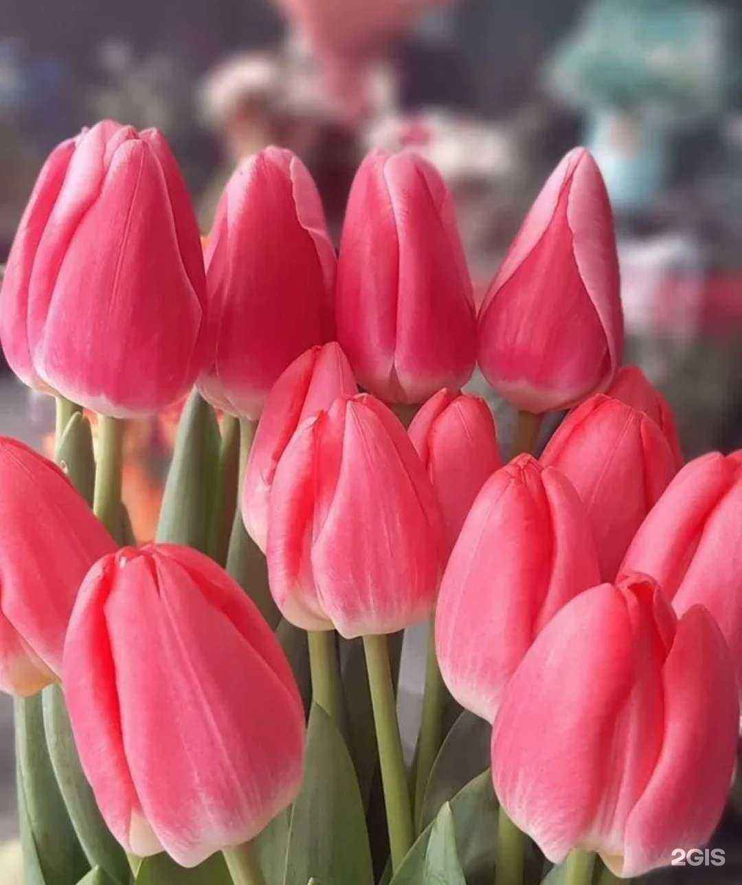 Отзывы на компанию Крокус в Барнауле c фото