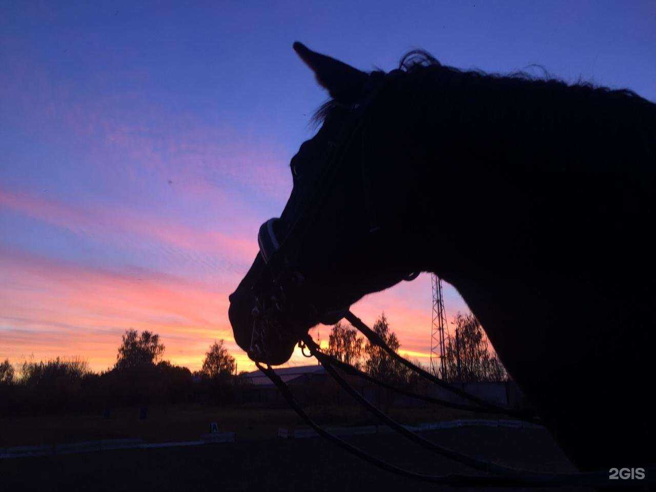 Отзывы на компанию Хадар в Казани c фото