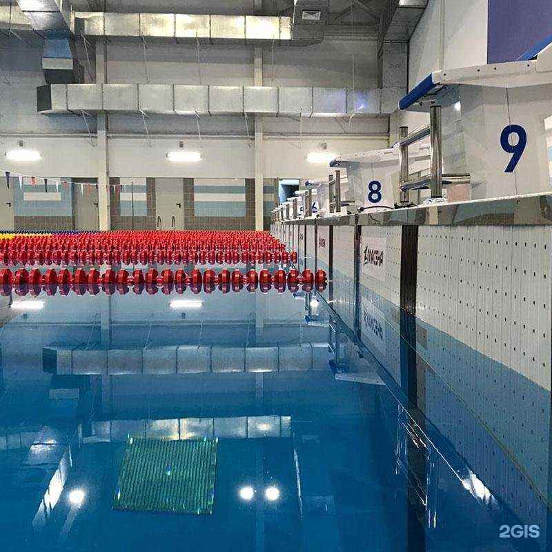 Отзывы на компанию Macsha Swim в г. Екатеринбург c фото