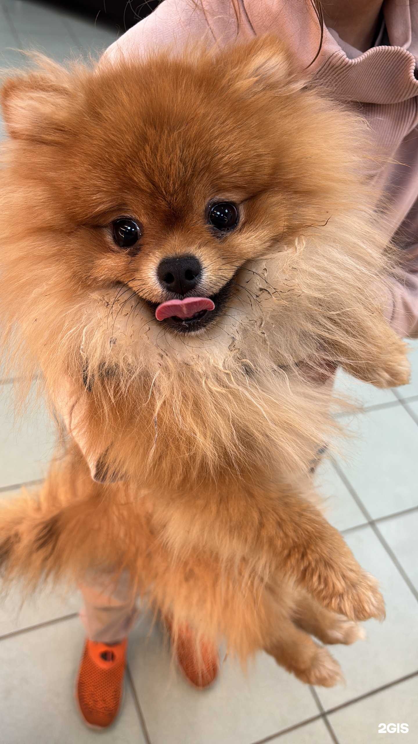 Отзывы на компанию Павильон по продаже горячей выпечки в г. Иркутск c фото