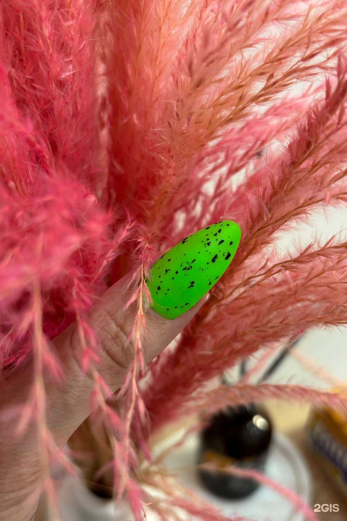 Отзывы на компанию Boom! в Анапе c фото