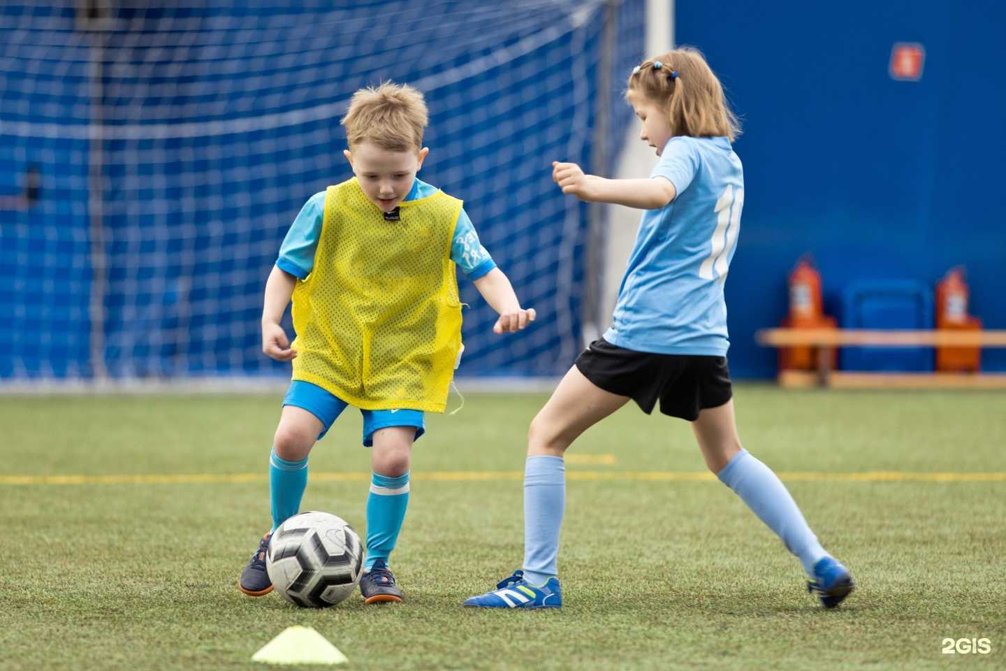 Отзывы на компанию Зенит-Чемпионика в Тюмени c фото