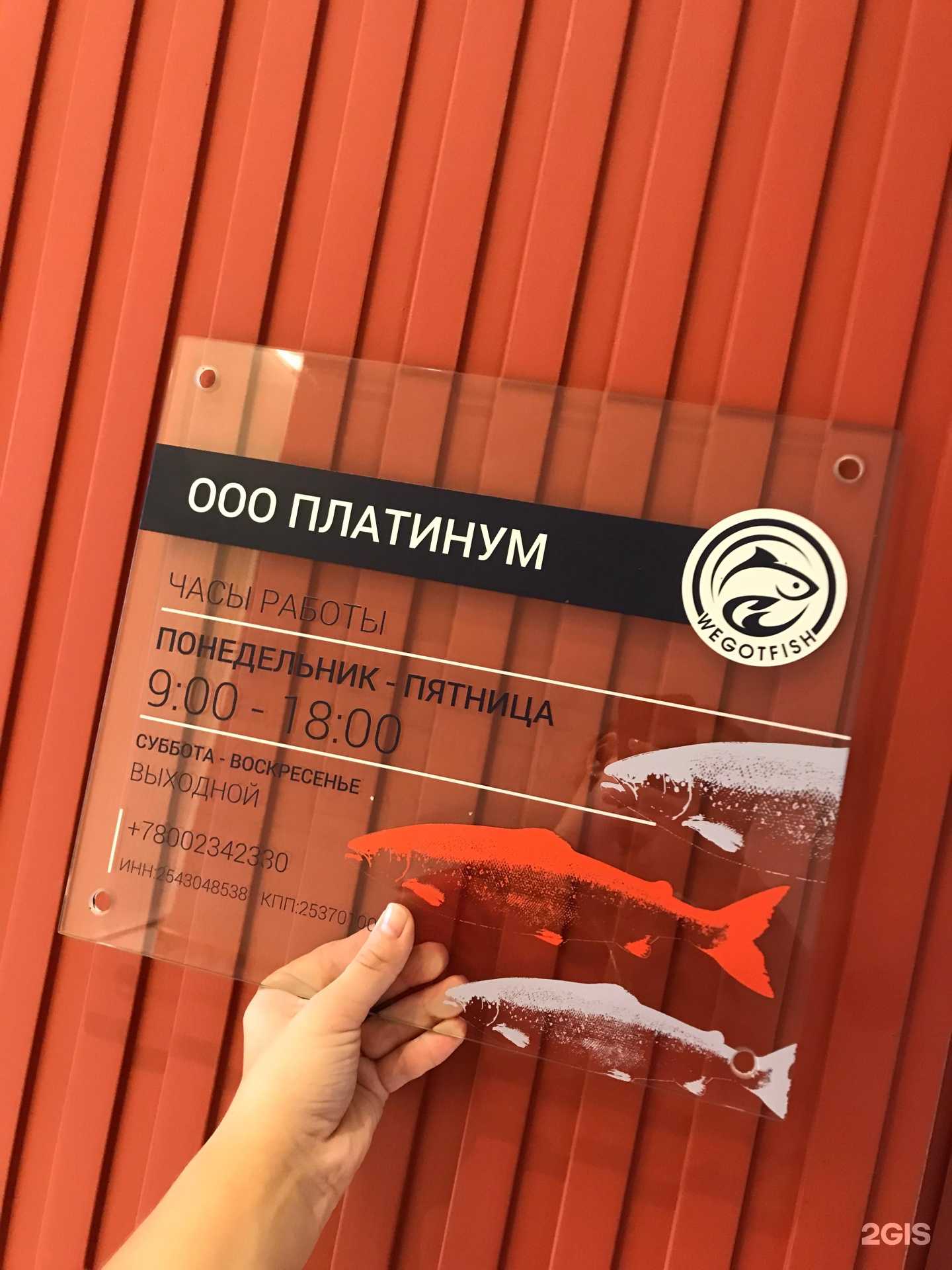 Отзывы на компанию Платинум в Владивостоке c фото