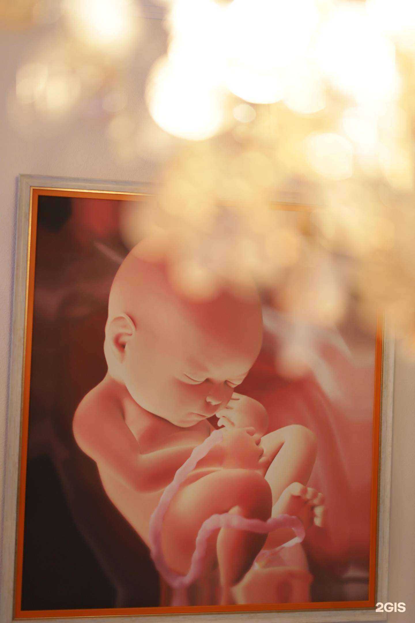 Отзывы на компанию Чадо в Краснодаре c фото