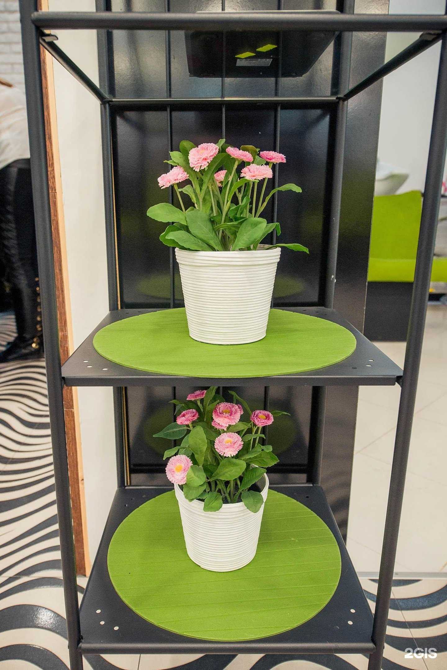 Отзывы на компанию Коко в Новомосковске c фото