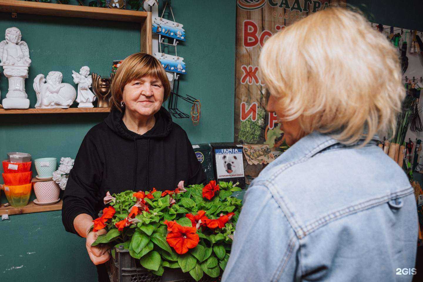 Отзывы на компанию СадГрад в Челябинске c фото