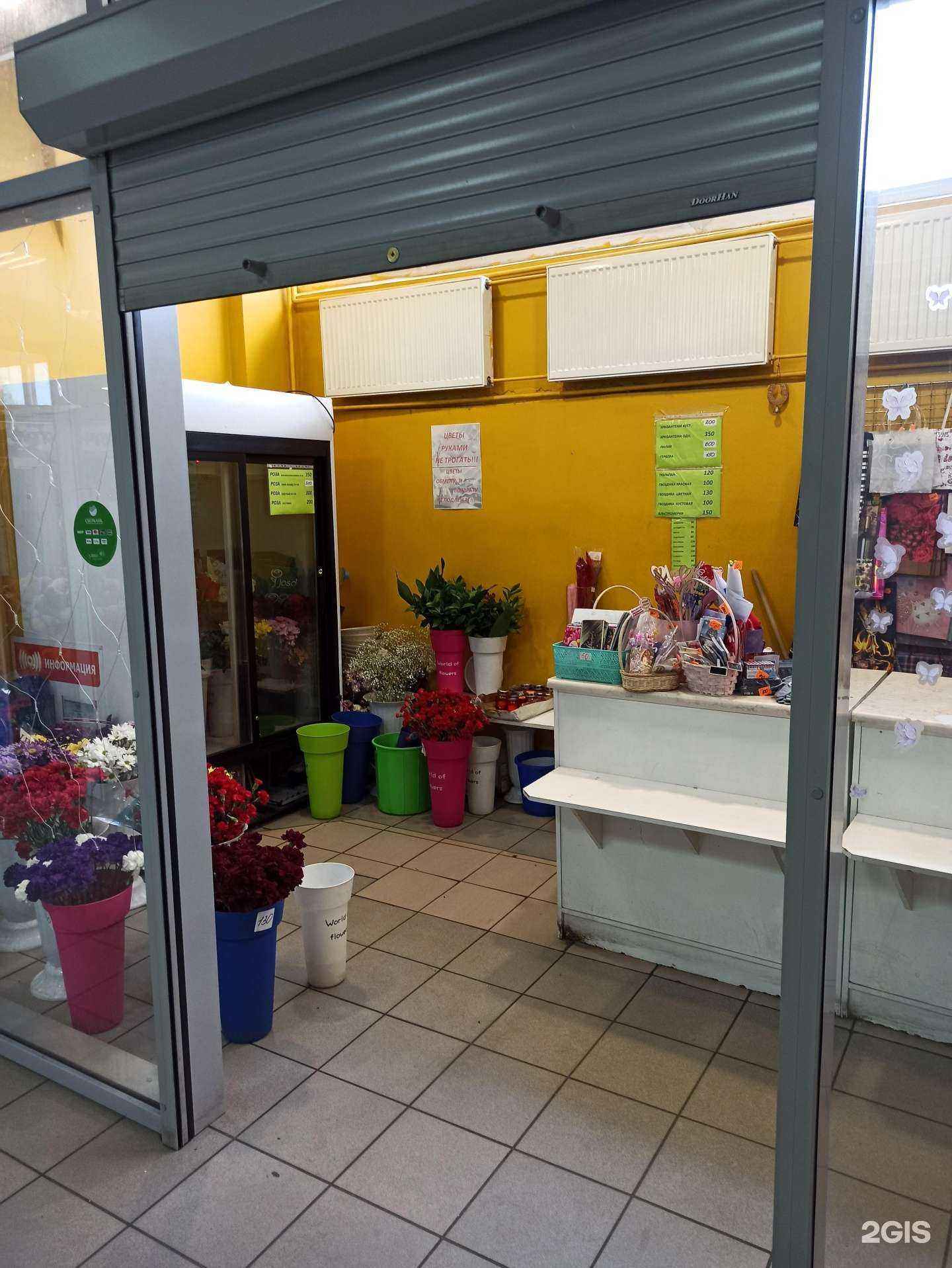 Отзывы на компанию Цветлана в г. Кандалакша c фото