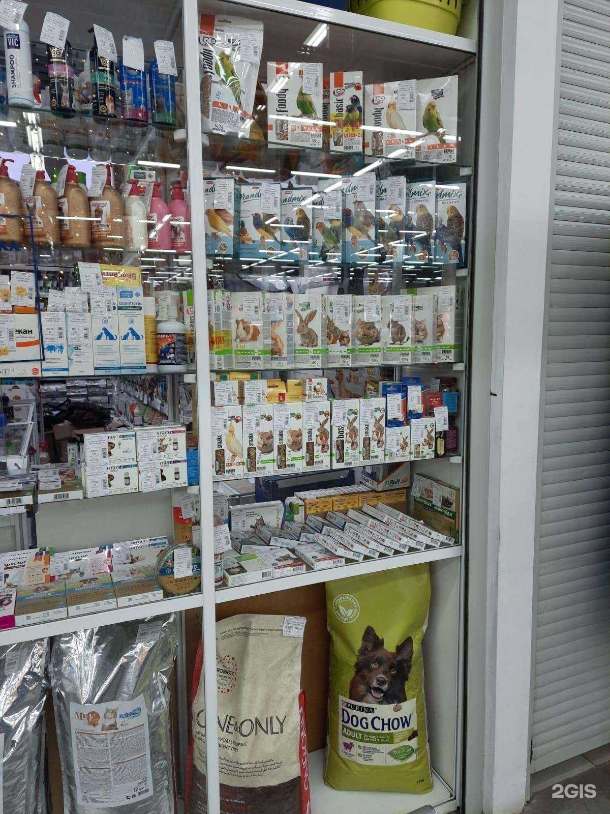 Отзывы на компанию Четыре лапы в Новокузнецке c фото