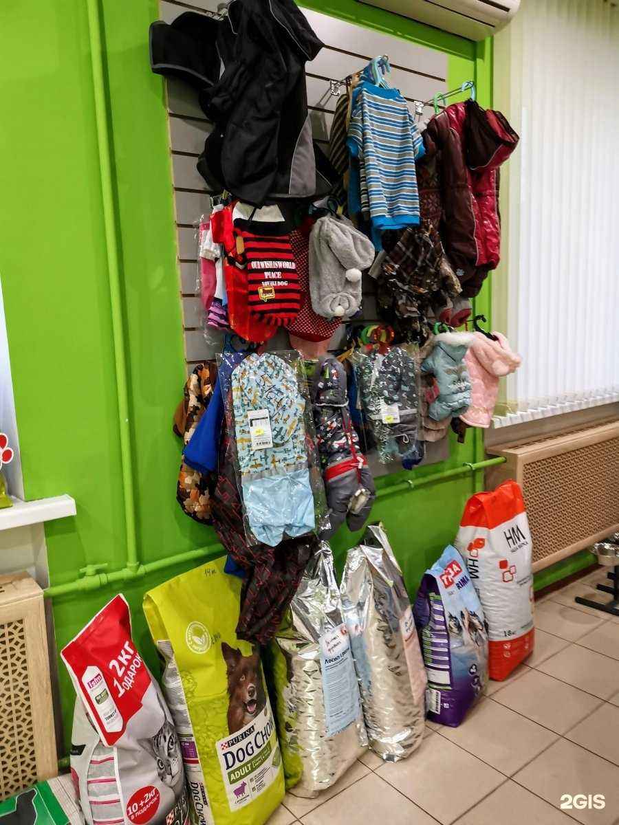 Отзывы на компанию Четыре лапы в г. Альметьевск c фото