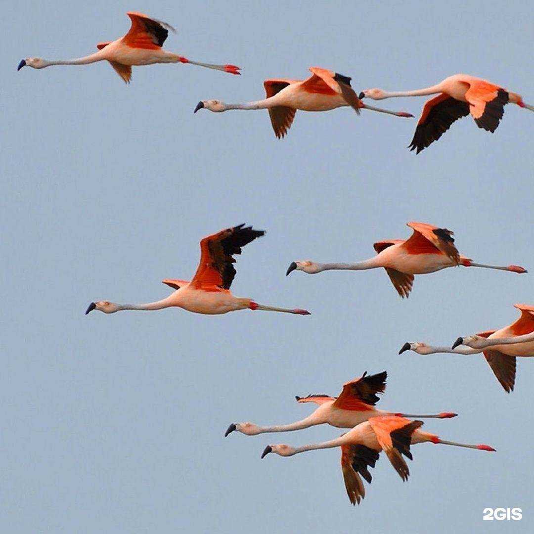 Отзывы на компанию Utrain в Воронеже c фото