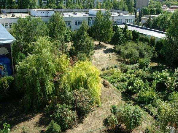 Отзывы на компанию Сокол в г. Саратов c фото