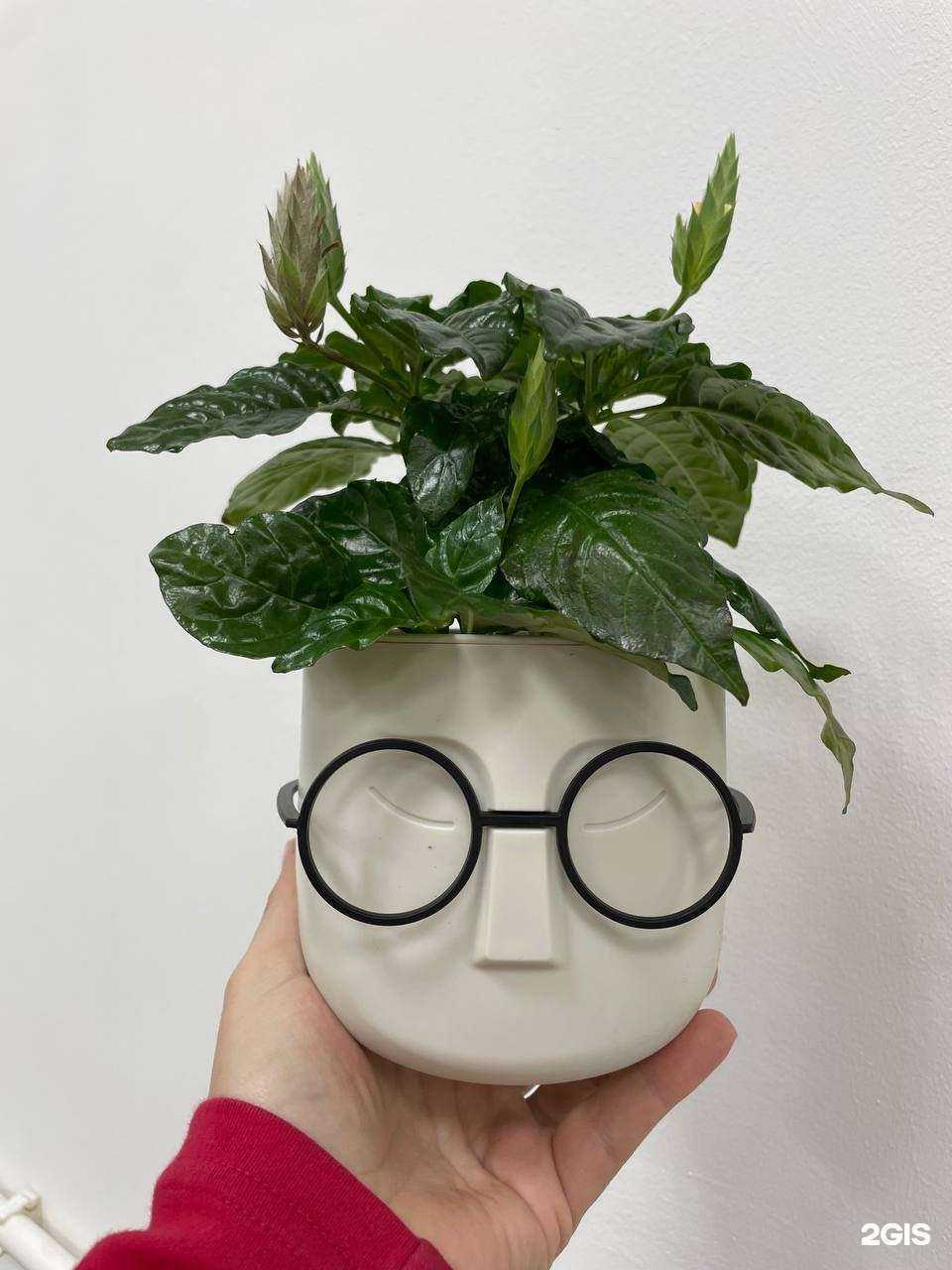 Отзывы на компанию Сад Базар в Ростове-на-Дону c фото