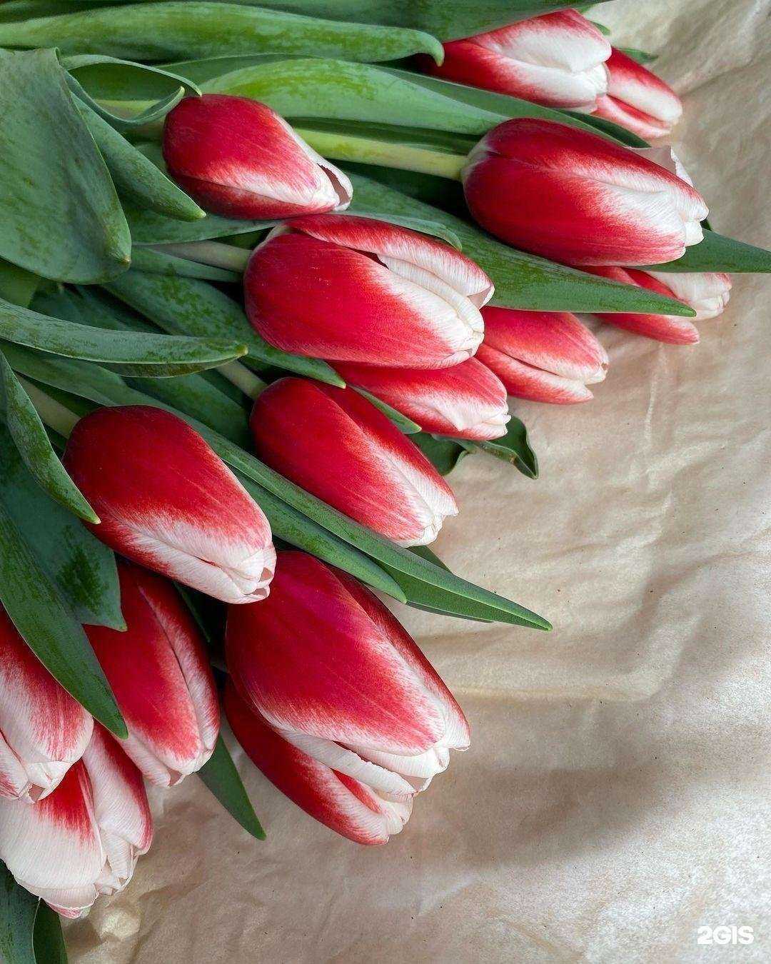 Отзывы на компанию Тепличное хозяйство в г. Уссурийск c фото