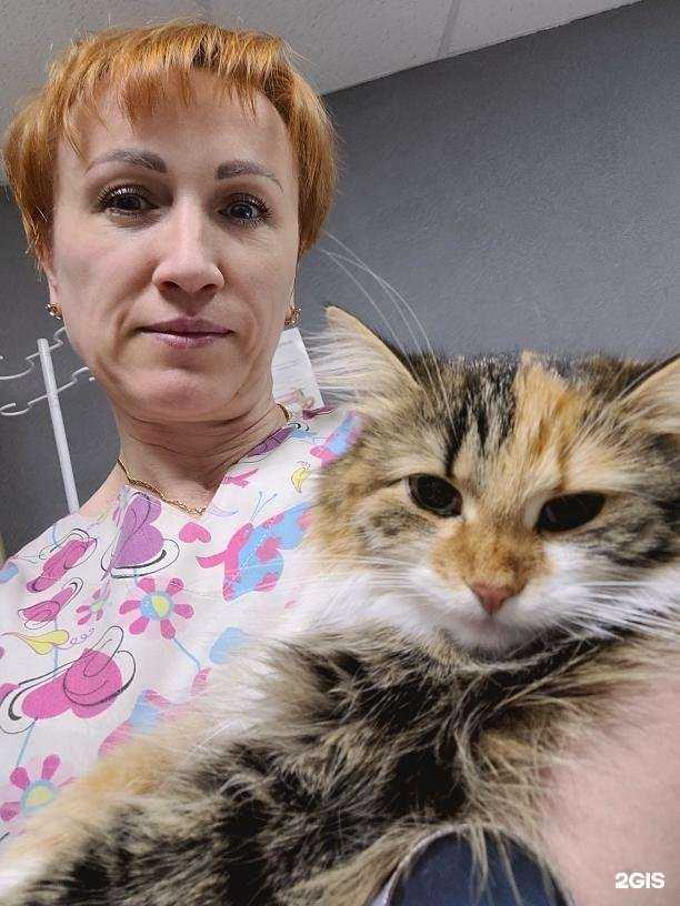 Отзывы на компанию Black cat в Перми c фото