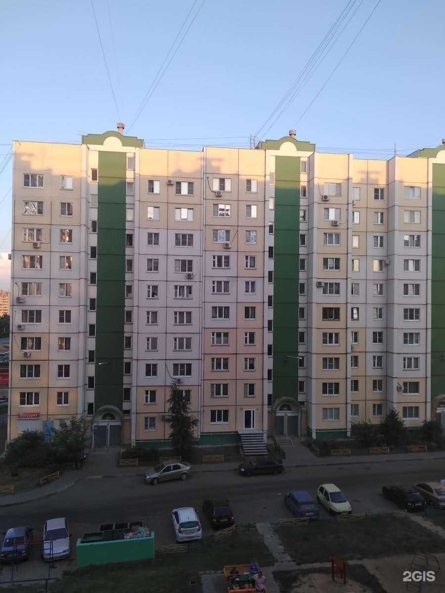 Отзывы на компанию Nelly studio в Воронеже c фото - фотография 2 из 2