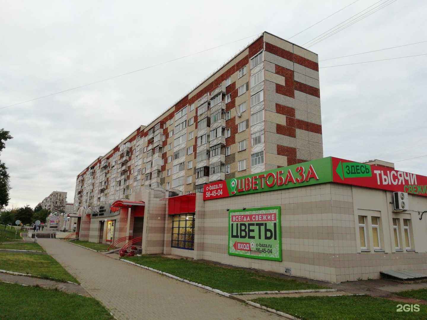 Отзывы на компанию Носок в Ижевске c фото