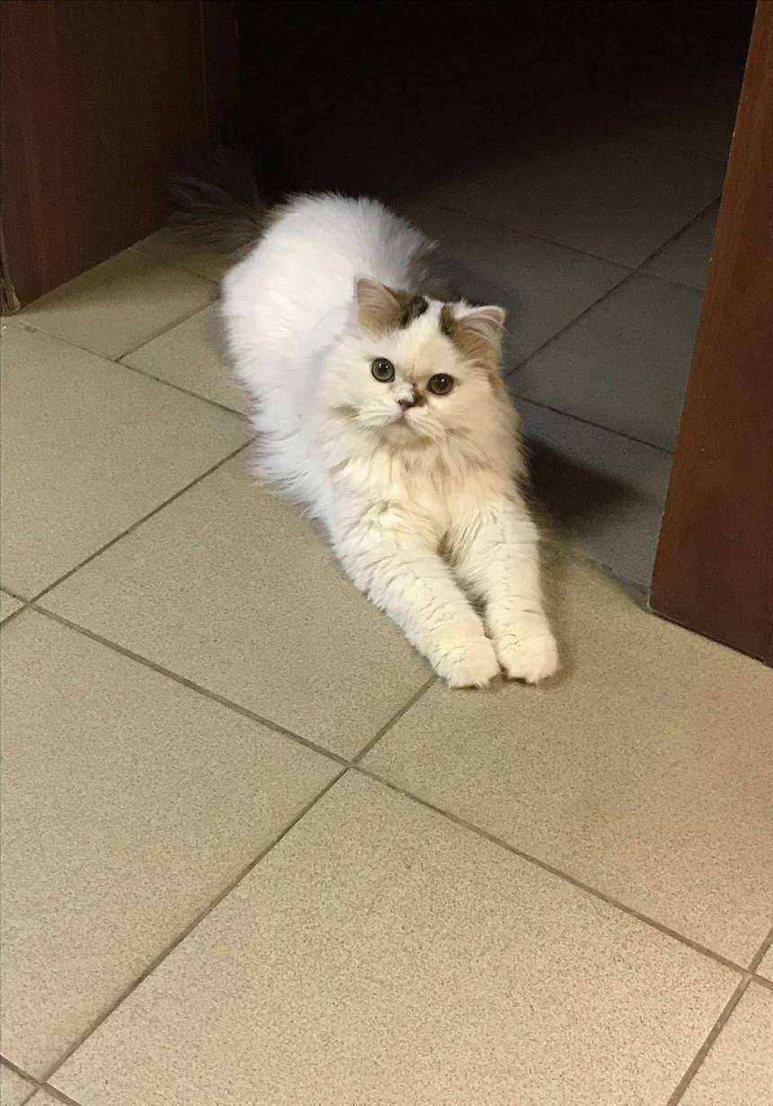 Отзывы на компанию Добрыня в г. Йошкар-Ола c фото