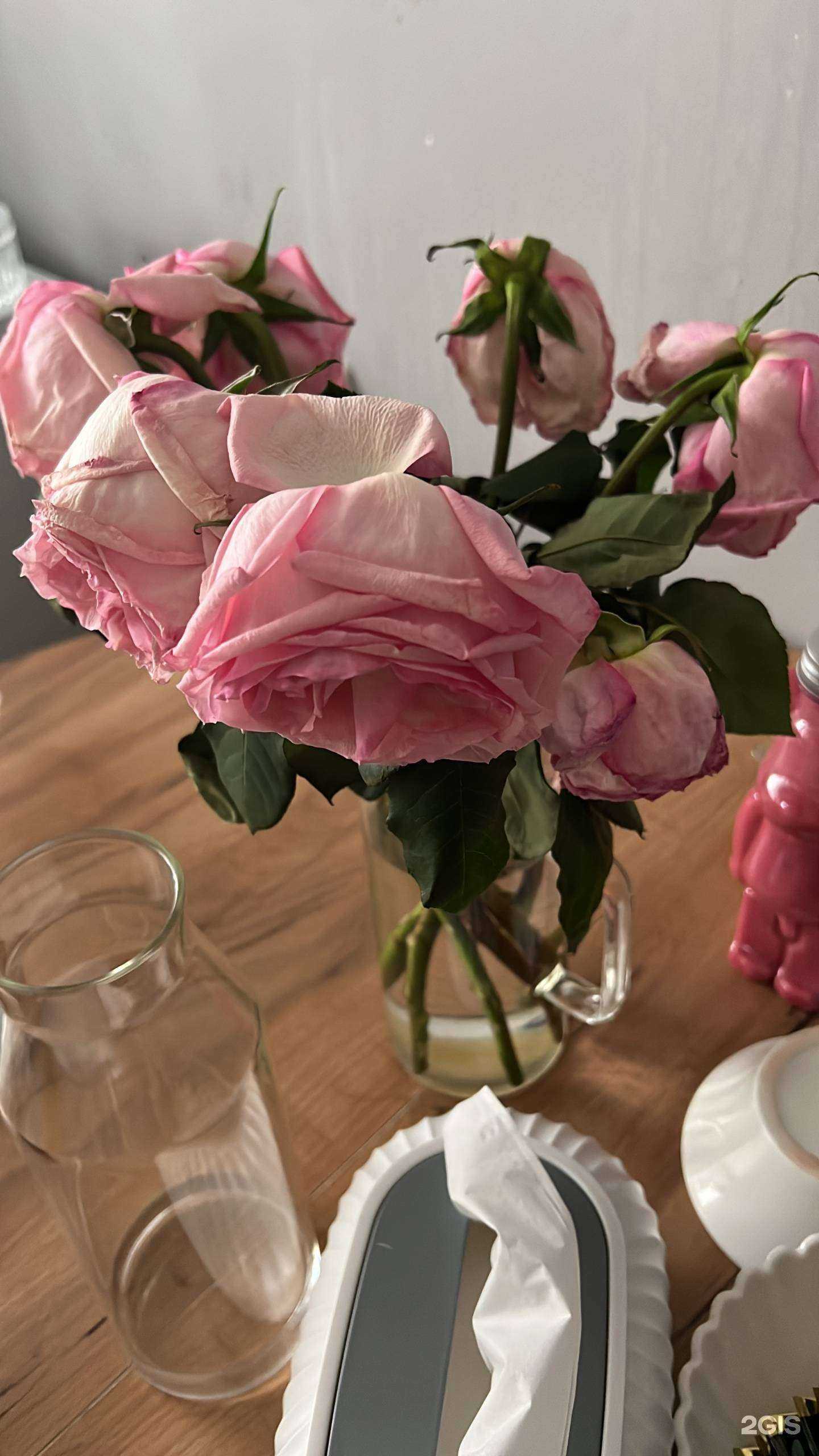 Отзывы на компанию Маки в г. Якутск c фото