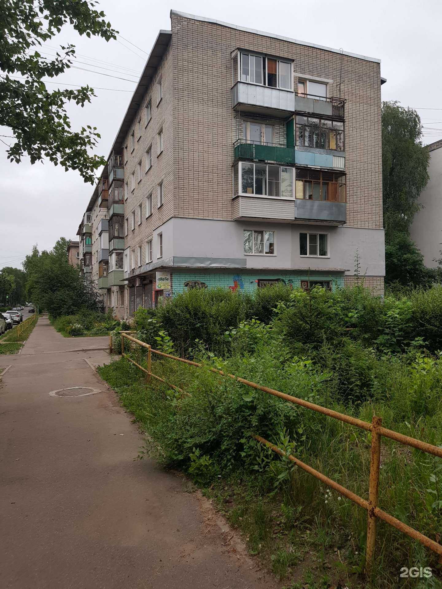 Отзывы на компанию Диана в Ярославле c фото - фотография 2 из 2