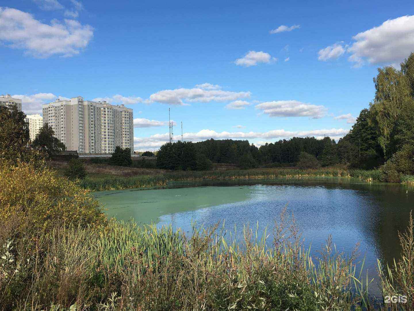 Отзывы на компанию Бухгалтерская компания в Видном c фото - фотография 2 из 2