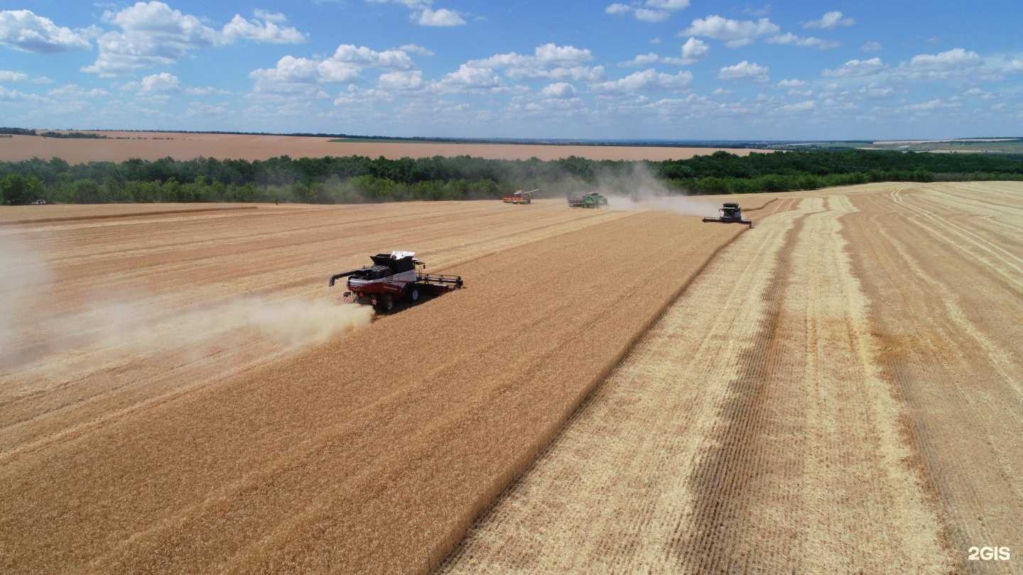 Отзывы на компанию Агроэко-маркет в Воронеже c фото