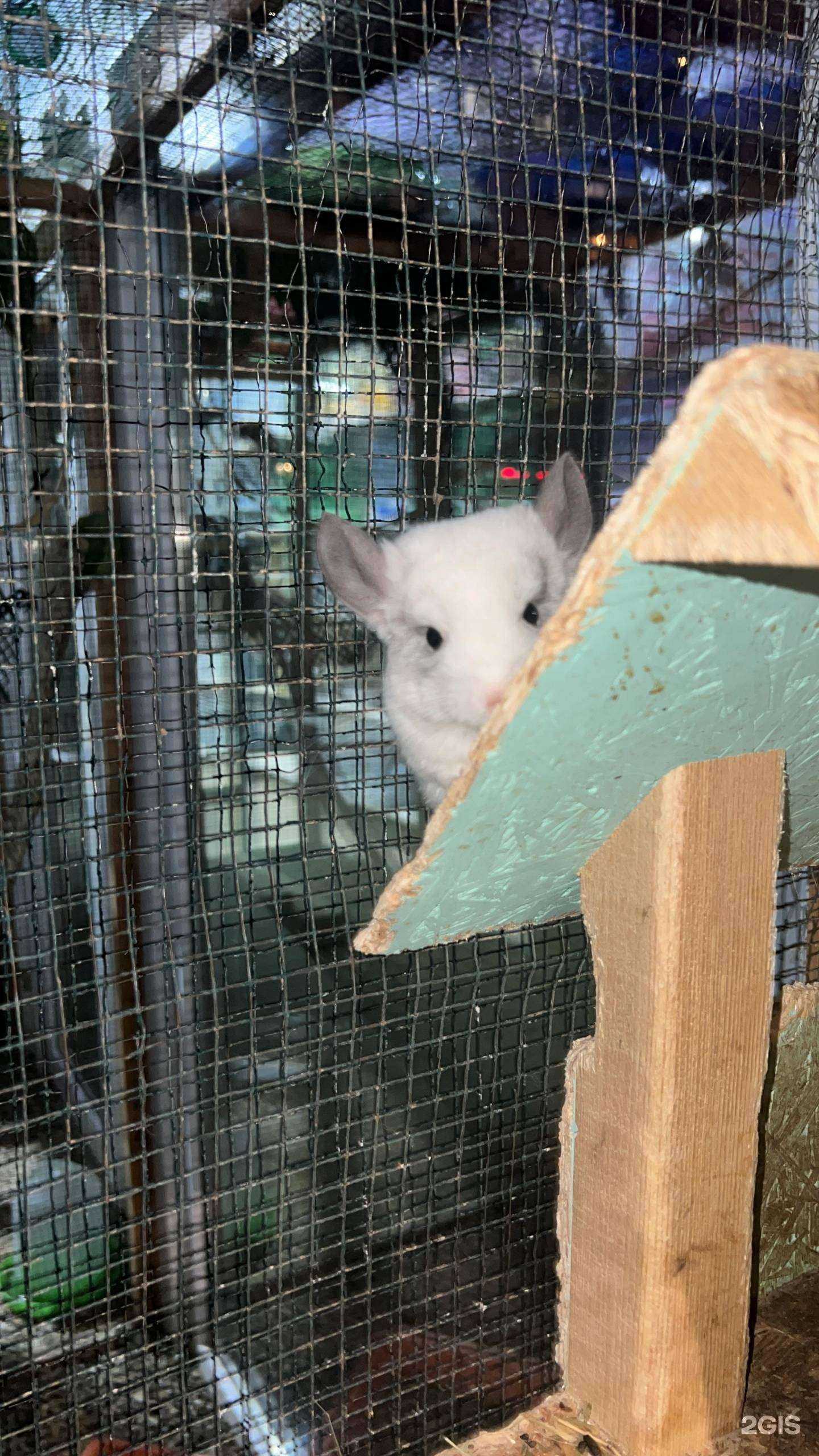 Отзывы на компанию Мой питомец в г. Краснодар c фото