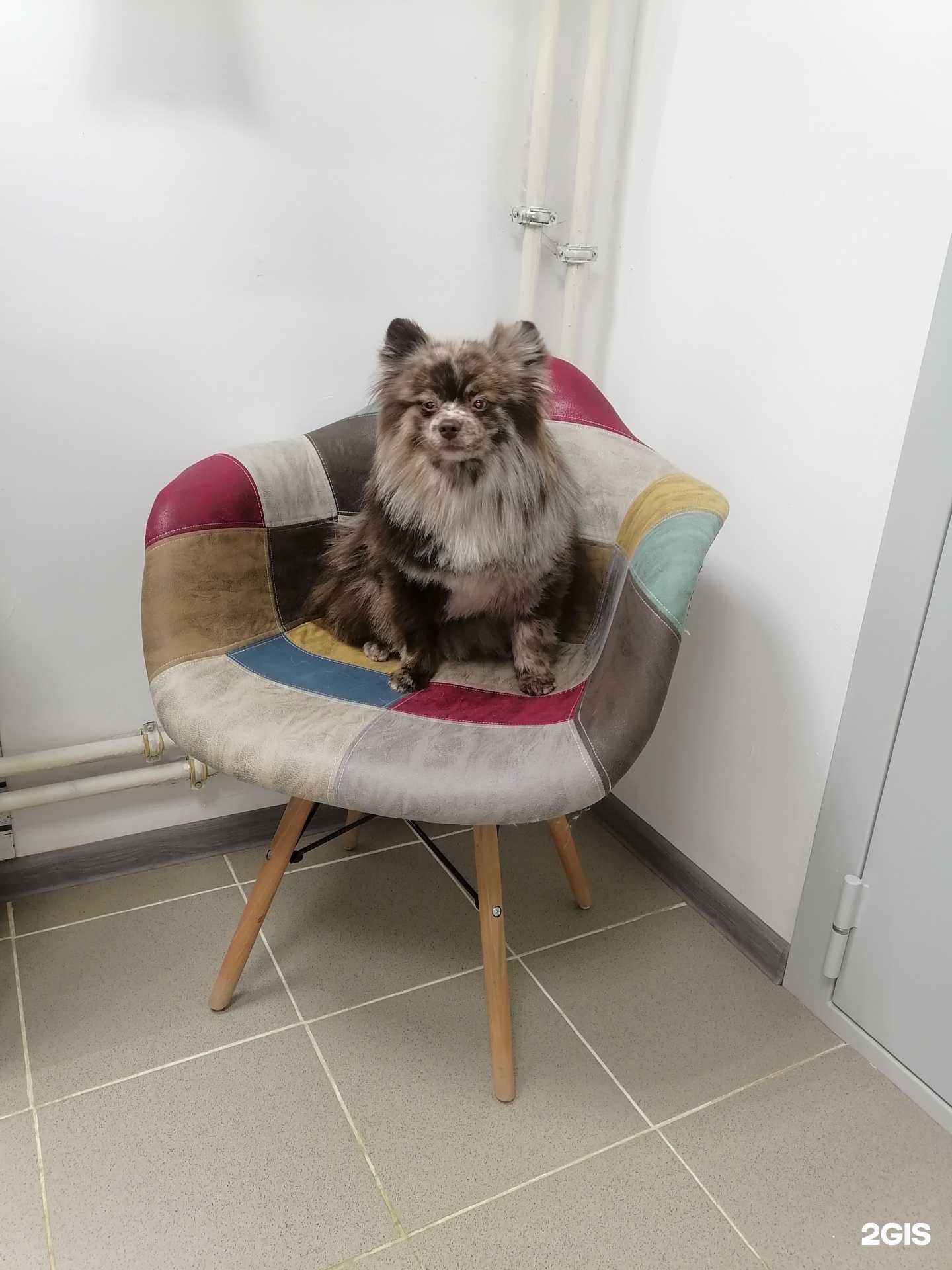 Отзывы на компанию Dream groom в г. Саранск c фото