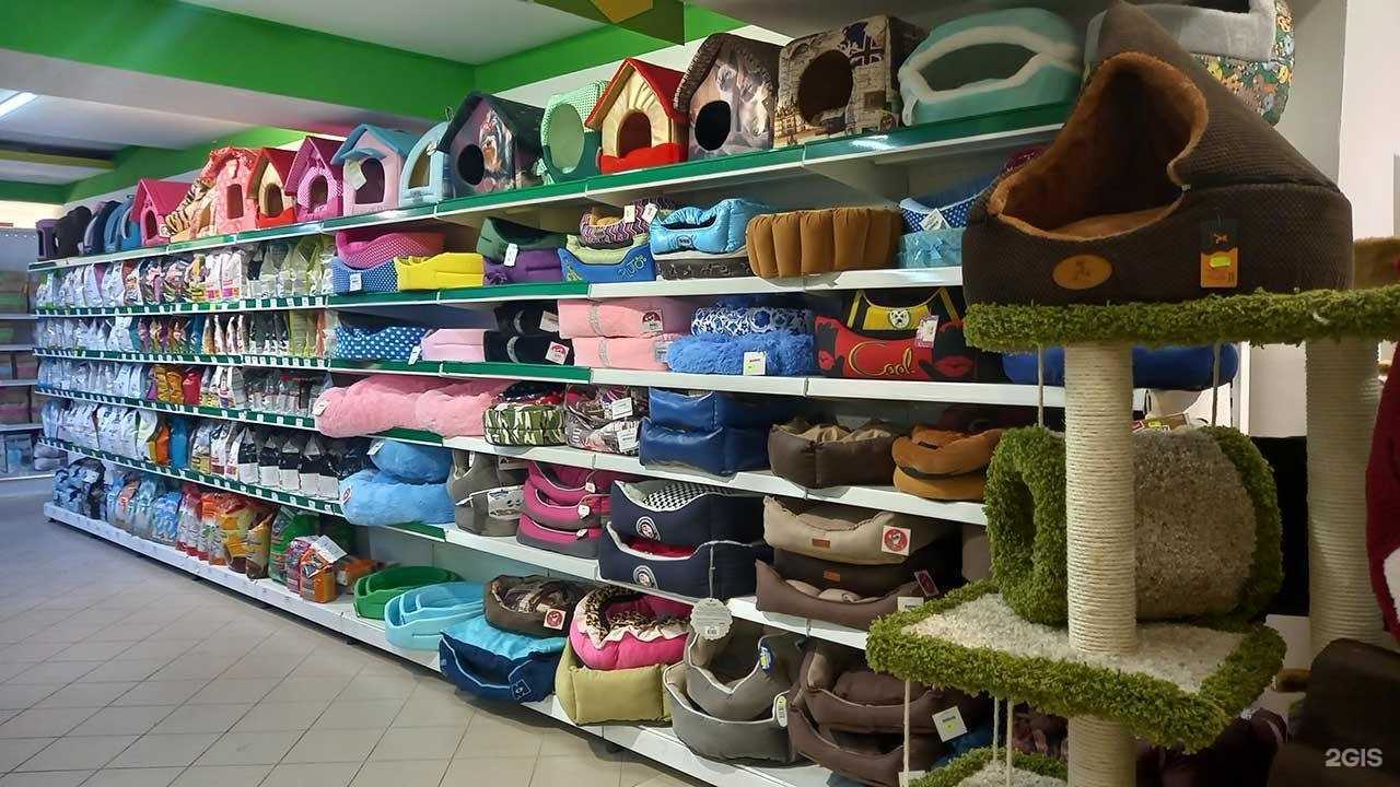 Отзывы на компанию Зооландия в Пензе c фото