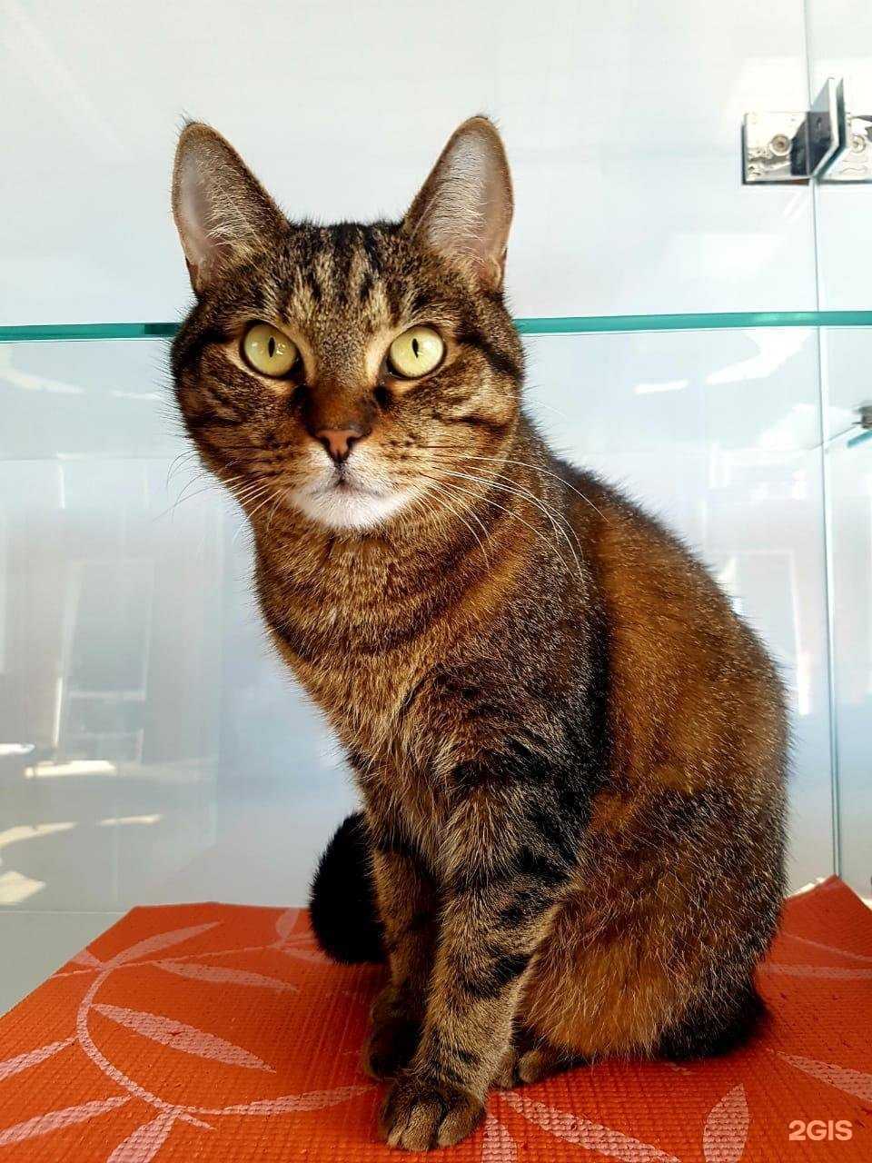 Отзывы на компанию Terrakot в г. Пермь c фото