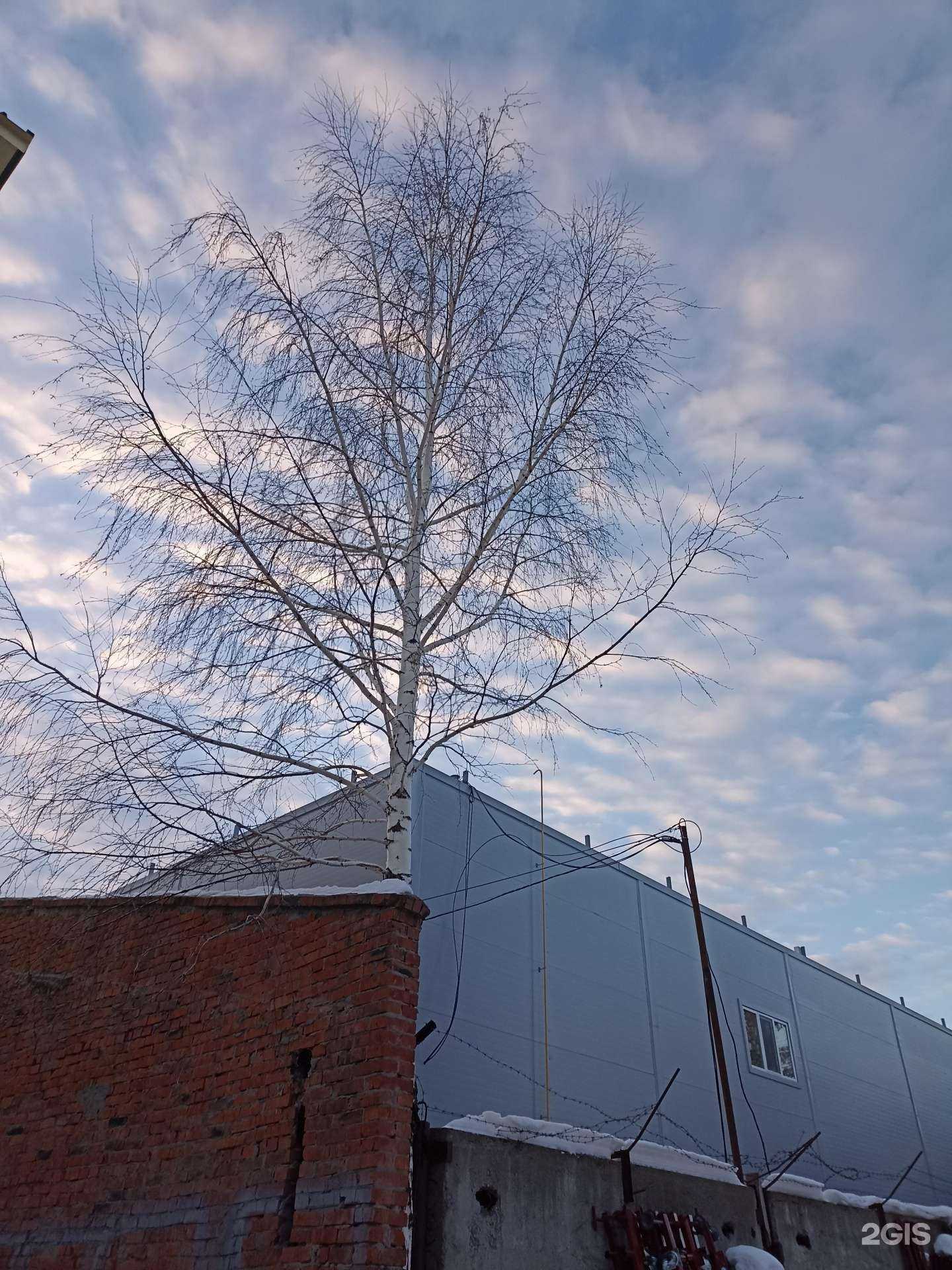 Отзывы на компанию LightStudio в Тюмени c фото - фотография 2 из 2