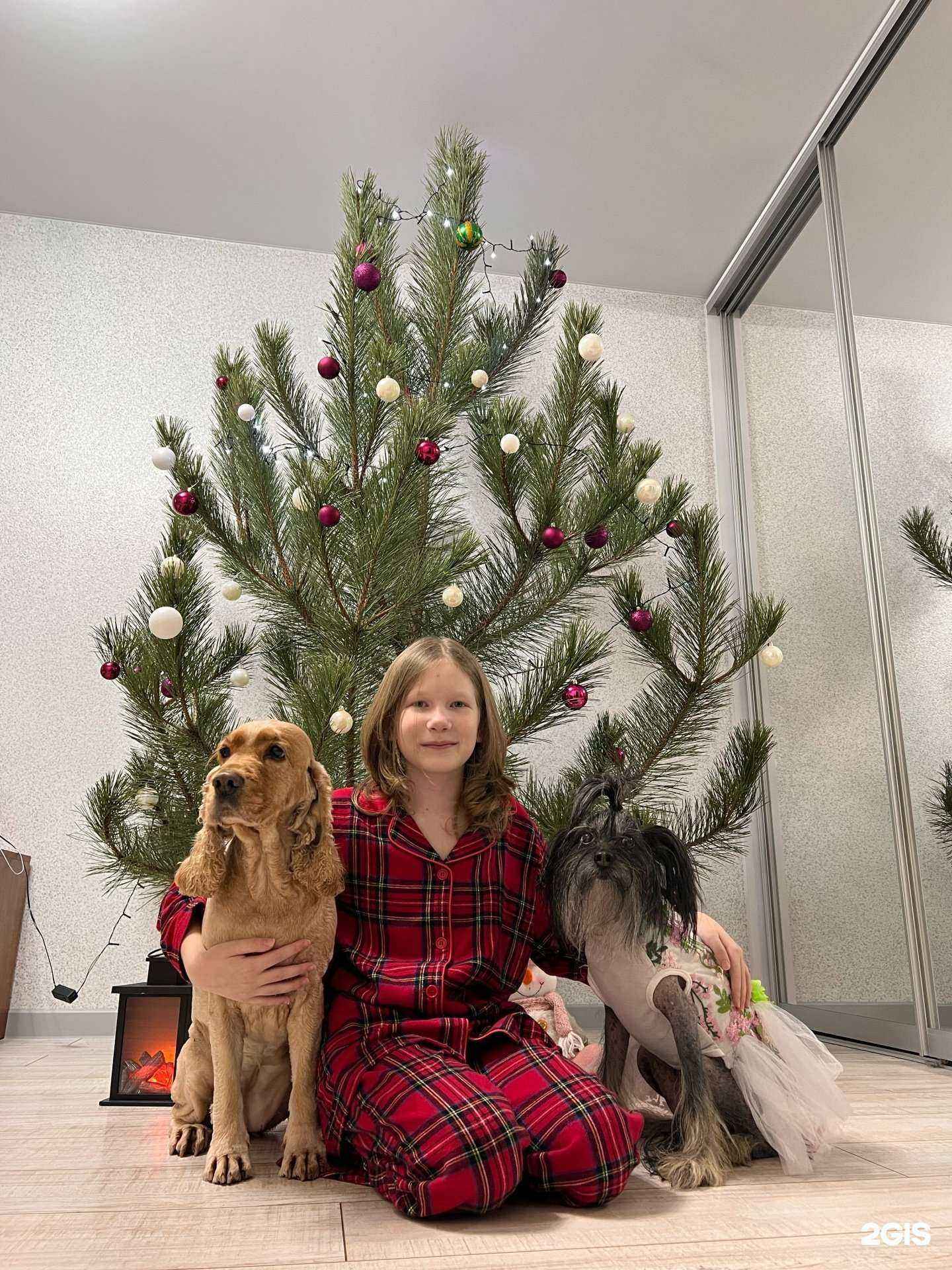 Отзывы на компанию Груминг-салон в Ставрополе c фото