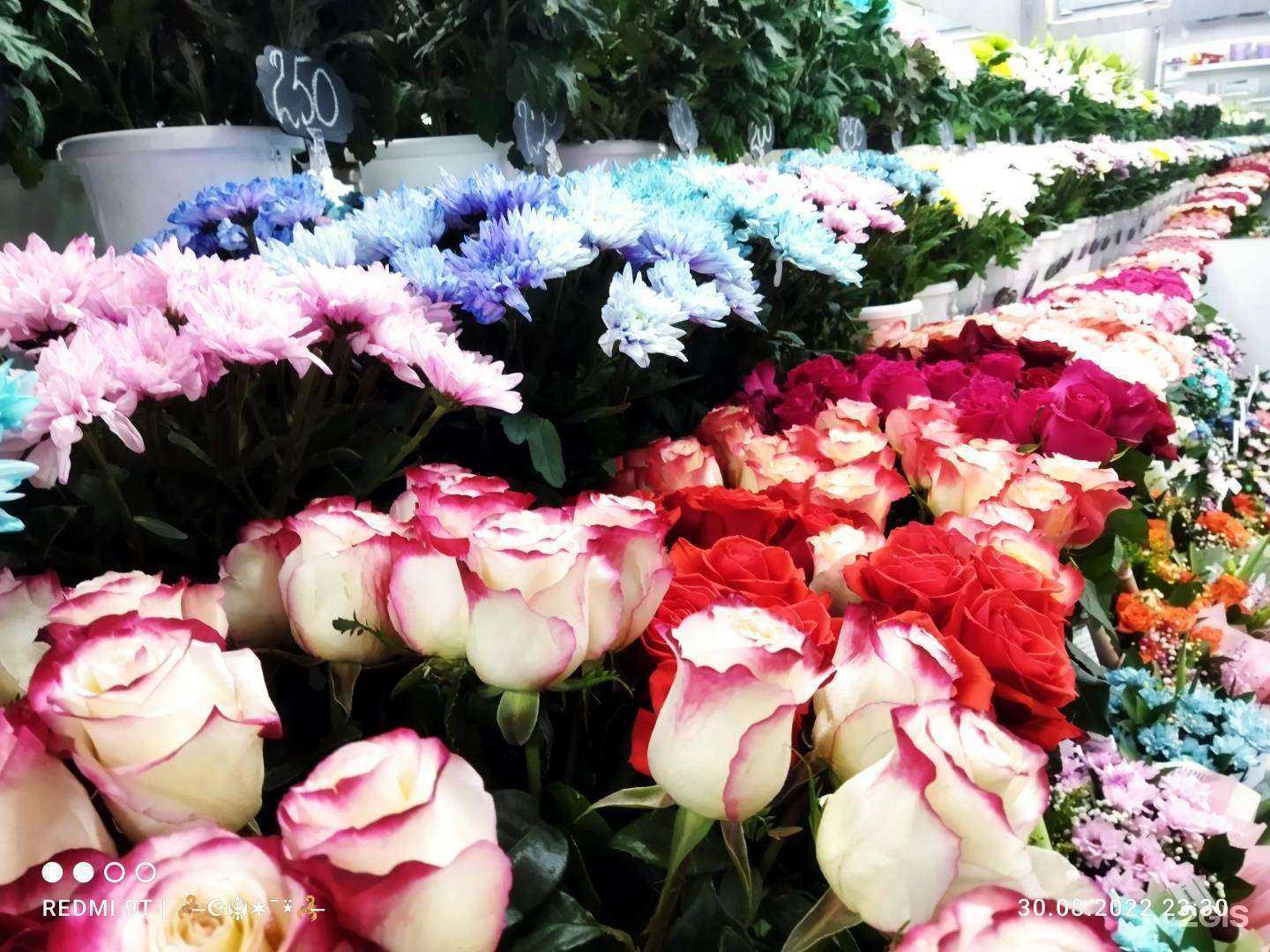 Отзывы на компанию Flora City в г. Томск c фото