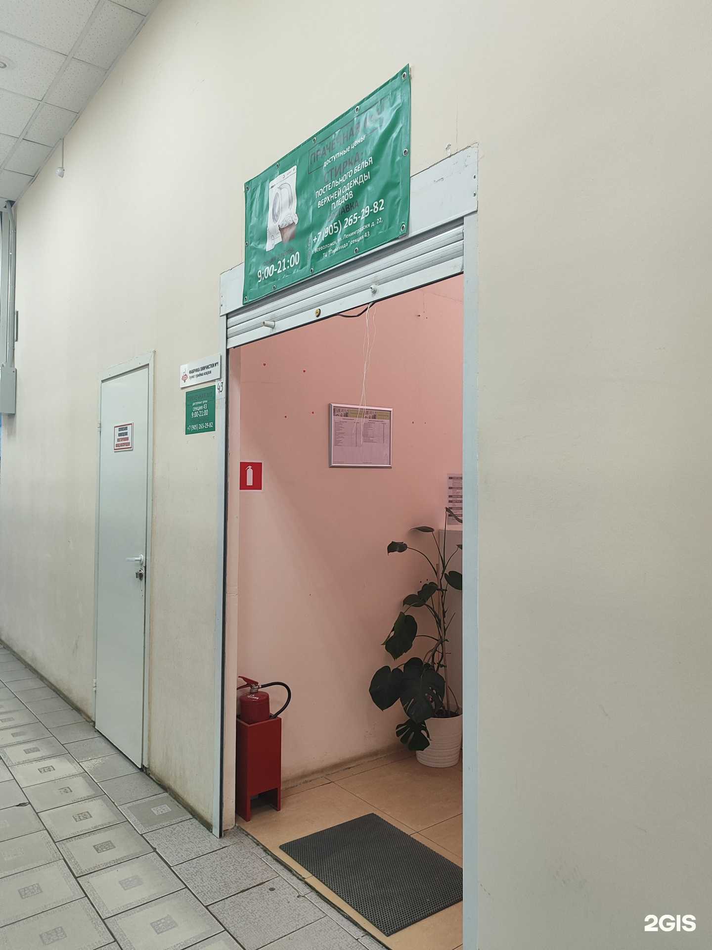 Отзывы на компанию Прачечная номер 1 в Всеволожске c фото