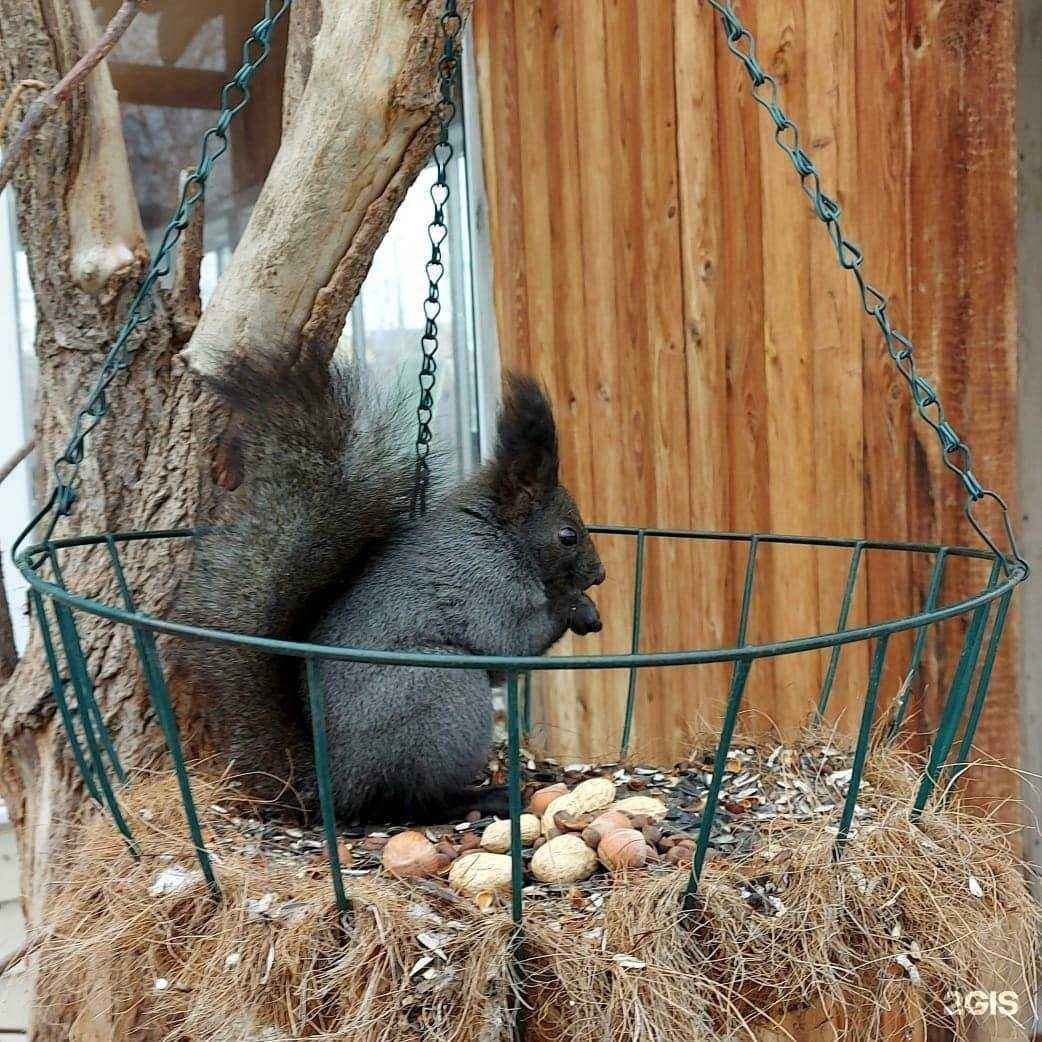 Отзывы на компанию Корма в г. Якутск c фото