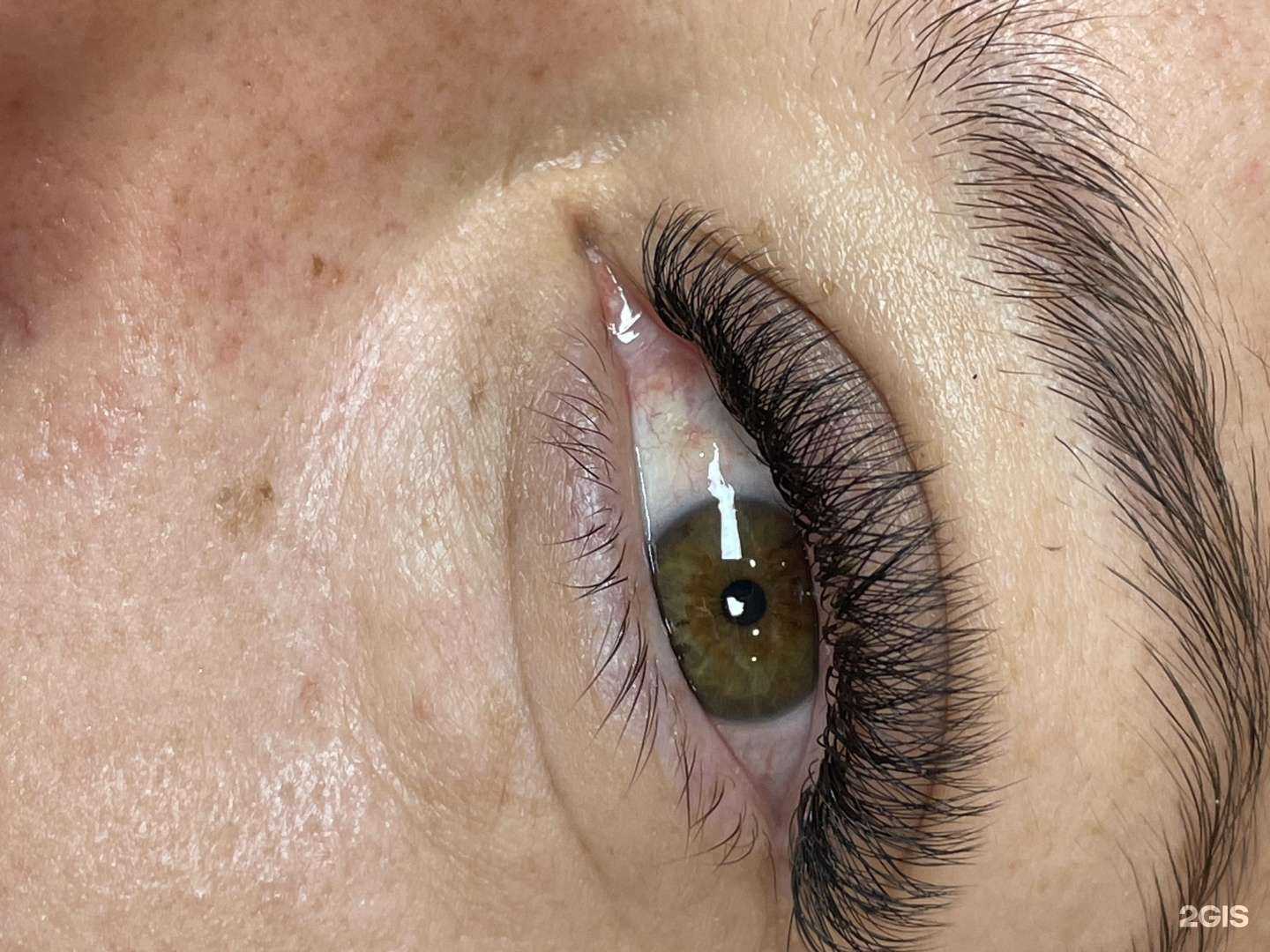 Отзывы на компанию Elite в Краснодаре c фото