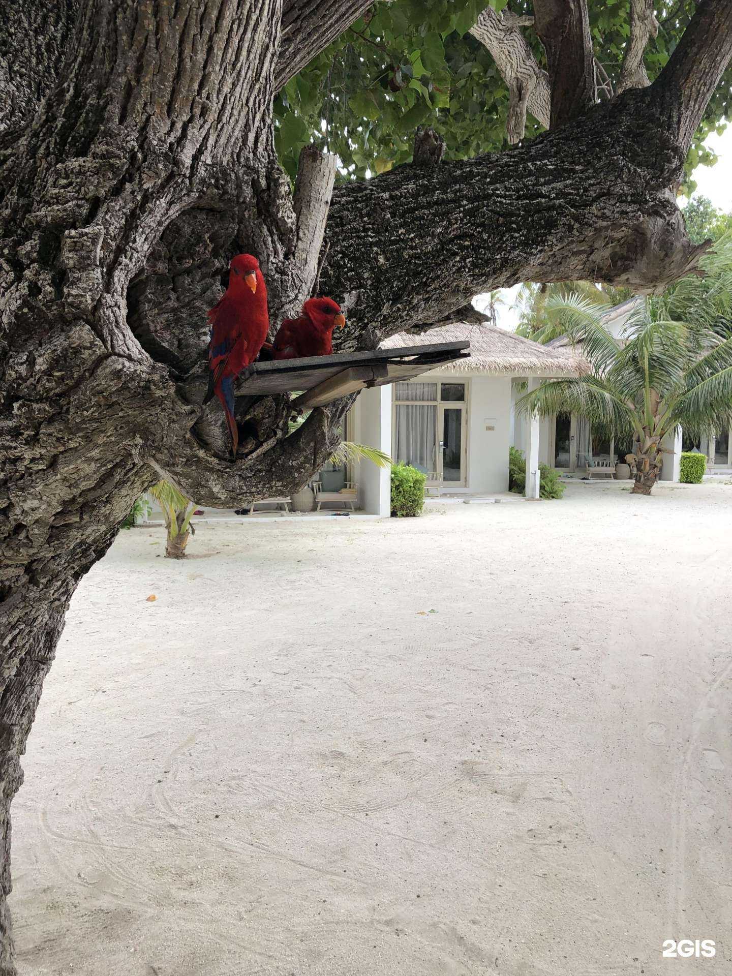 Отзывы на компанию Известия трэвэл в Йошкар-Оле c фото