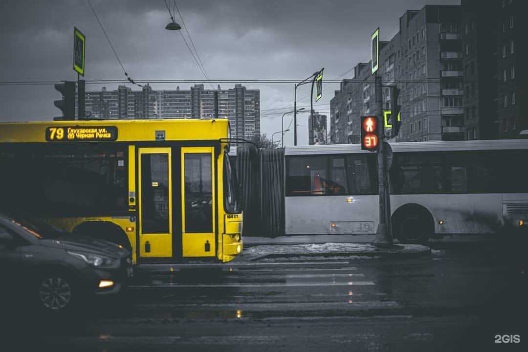 Отзывы на компанию билайн в Пензе c фото