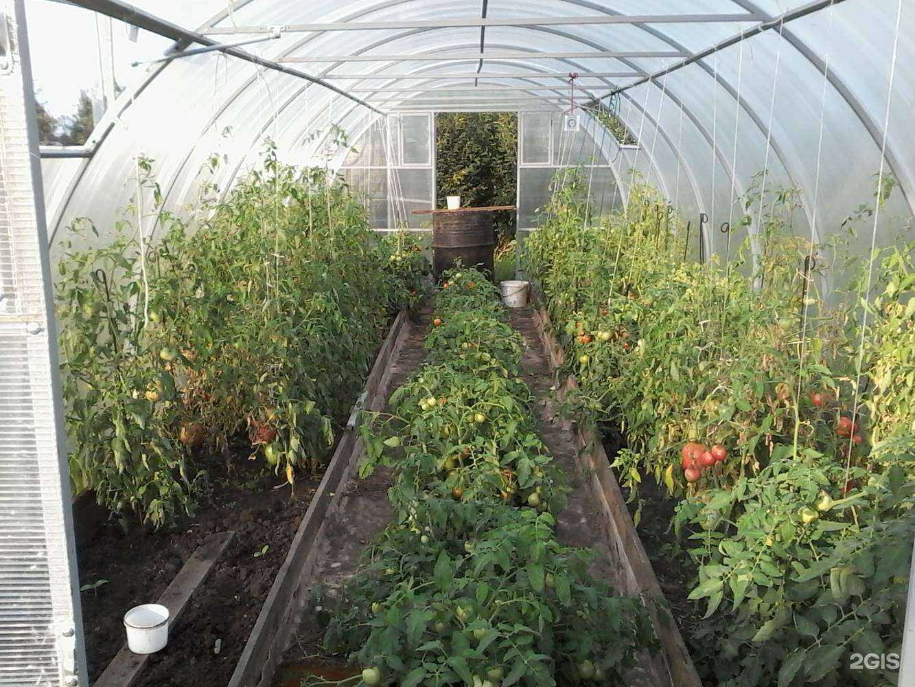 Отзывы на компанию Тимир в Челябинске c фото