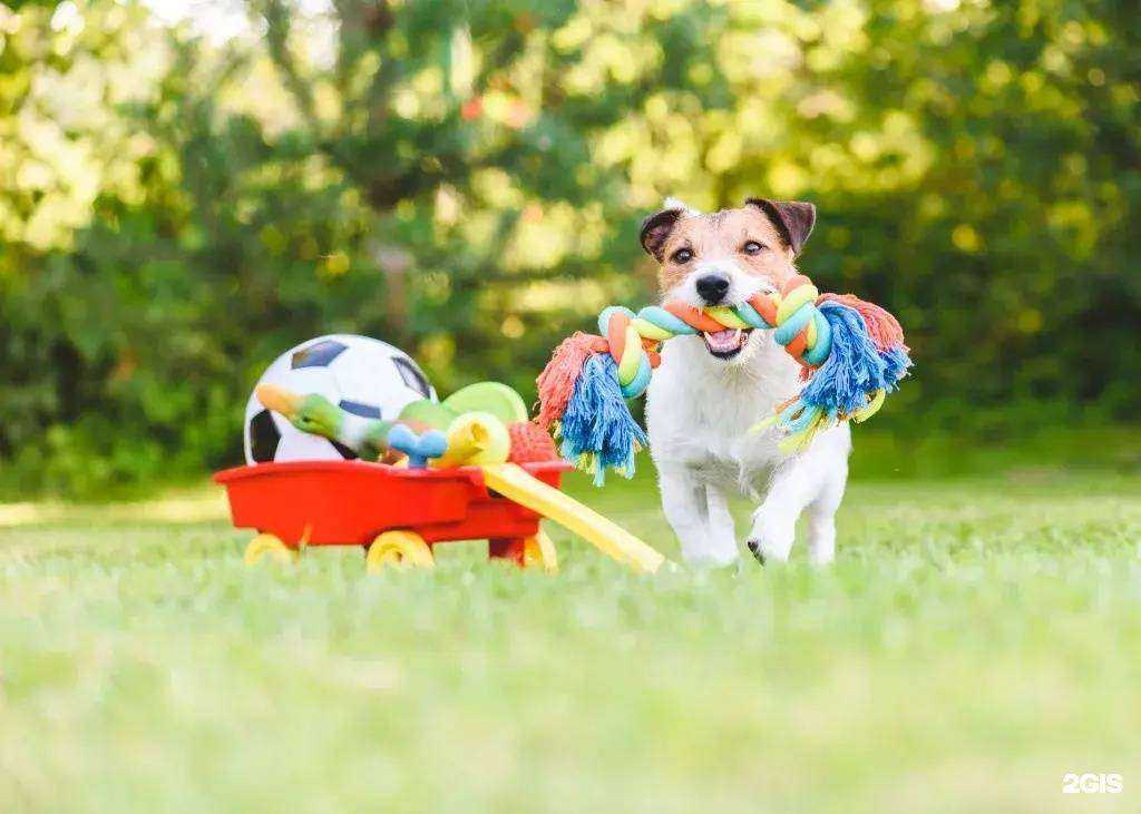 Отзывы на компанию Зоомагазин в г. Находка c фото